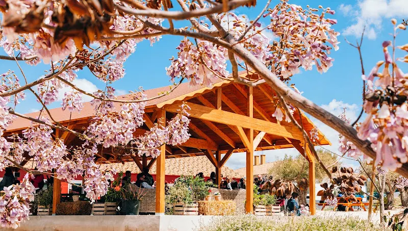 Alojamiento Rural y Centro de Ocio en Ibi (Alicante) Finca Daroca - Ibi