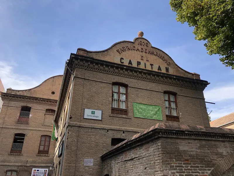 CEIP Profesor Tierno Galván