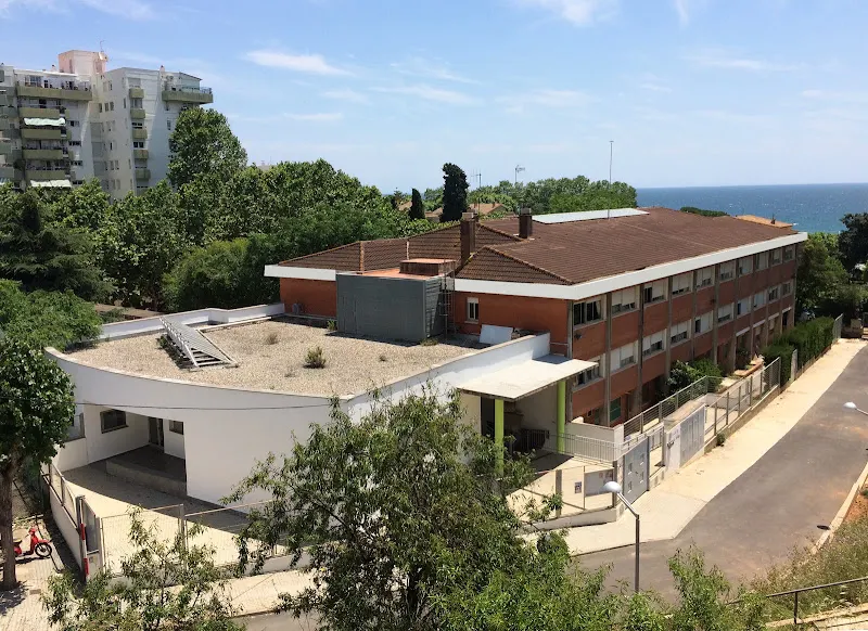 Institut Escola Lluís Millet (El Masnou)