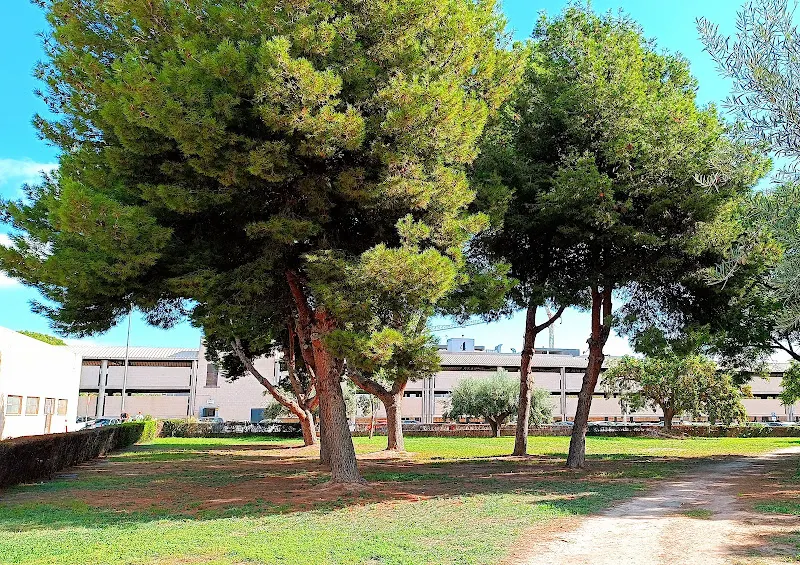 Universidad UMH - Campus de San Juan de Alicante