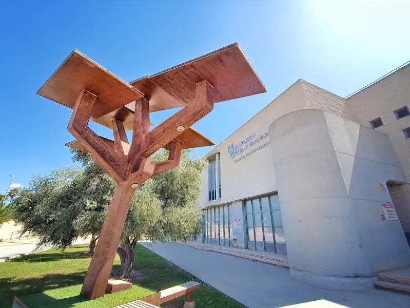 Universidad Miguel Hernández (UMH)
