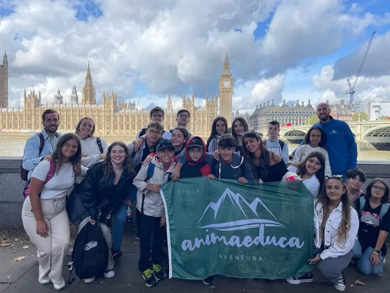 Animaeduca - Loja