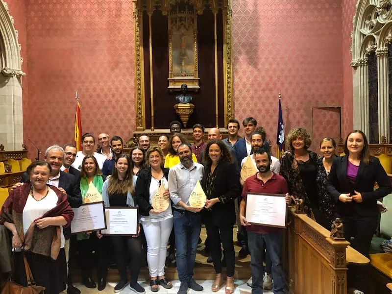 IES ALCÚDIA - Centro educativo en Alcudia - foto 2