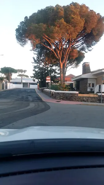 CEIP El Puntal - Aljaraque