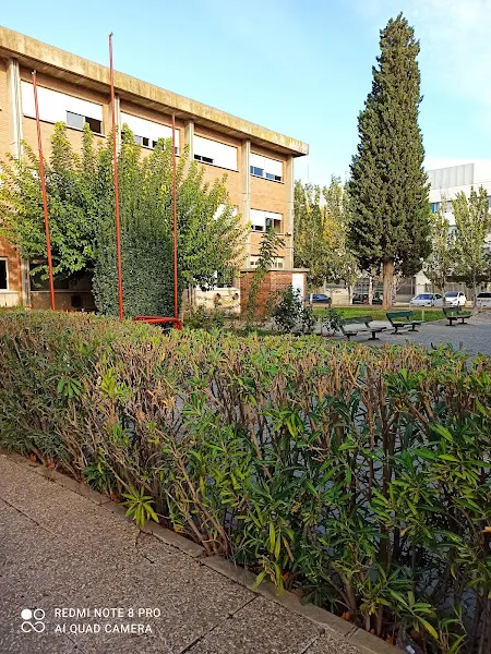 IES "Pedro Cerrada" - Utebo