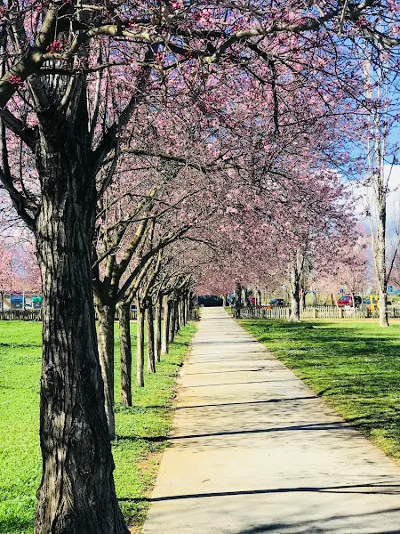 Guardería Municipal Cavall Fort - Jardín de infancia en Franqueses del Valles (Les) - foto 2