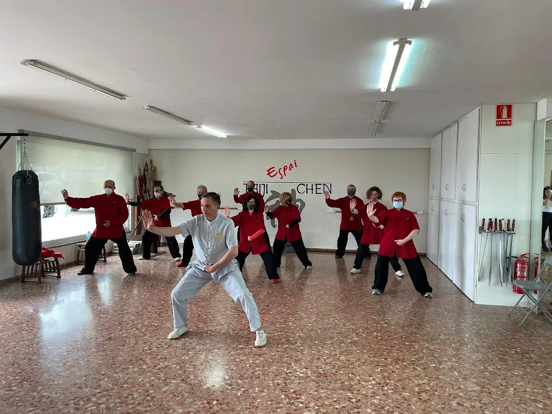 Espai Taiji Chen - Escuela de taichí en Santa Coloma de Gramenet - foto 2
