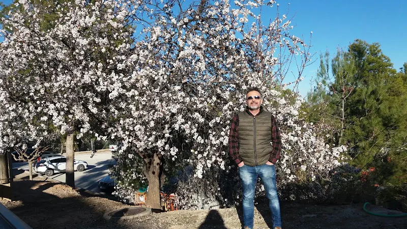 CEIP San Pablo Infantil - Colegio público en Abaran - foto 3