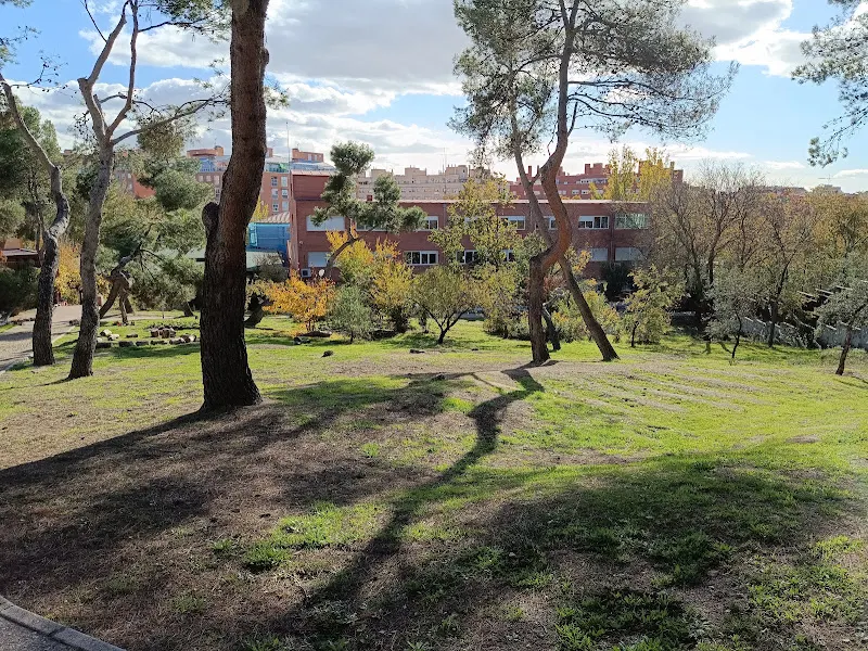 CEIP Felipe II - Colegio público en Madrid - foto 2
