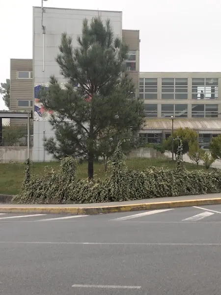 IES Maruxa Mallo