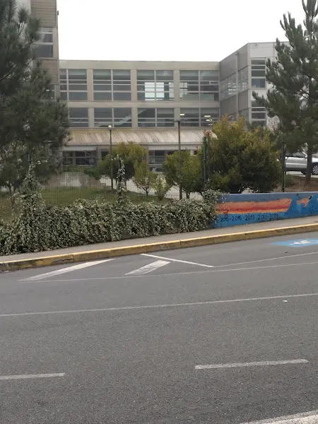 IES Maruxa Mallo - Colegio público en Ordes - foto 2
