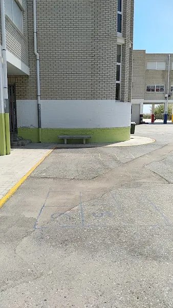 Colegio Público Segalvina - Colegio público en Salobreña - foto 2