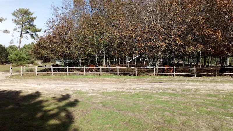 CEIP Fontes Baíña - Centro educativo en Baiona - foto 2