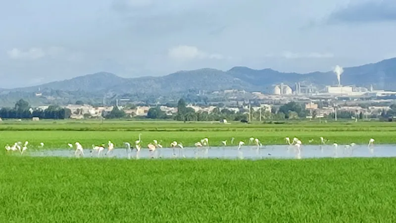 Escola Riumar - Deltebre