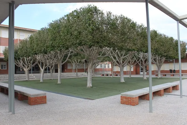 Instituto De Educación Secundaria Ies Antonio Serna Serna - Instituto de secundaria en Albatera - foto 2