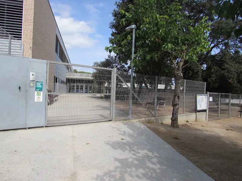 Escuela Serena Vall