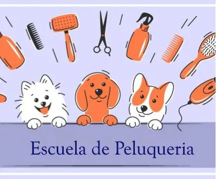 ESCUELA DE PELUQUERIA CANINA