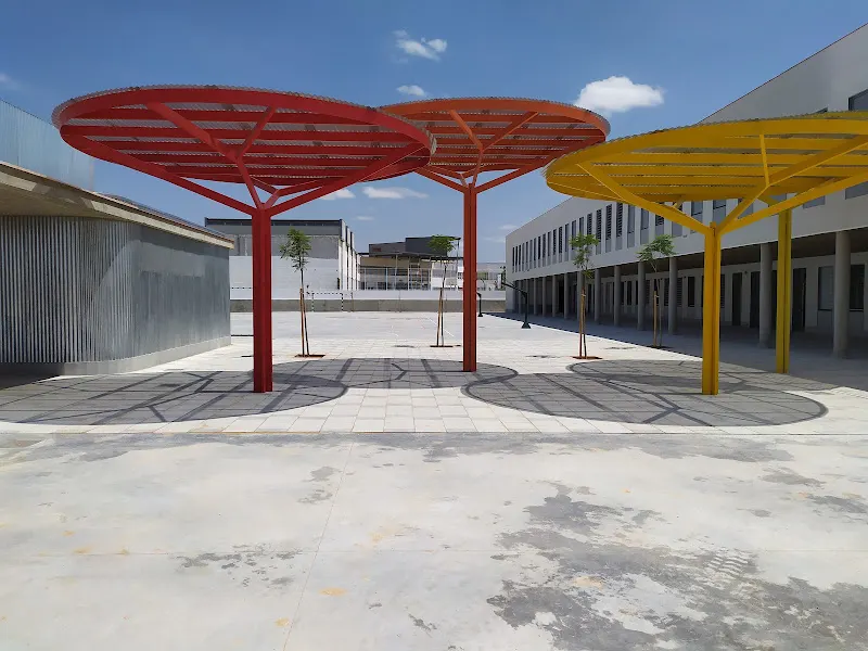 CEIP "Los Eucaliptos" - Colegio público en Olivares - foto 2