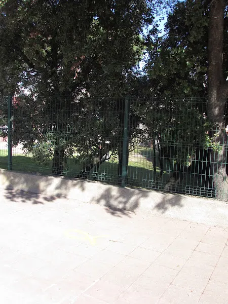 Escuela Fontmartina