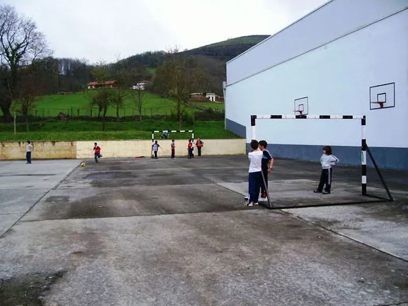 Colegio Público De Educación Infantil Y Primaria San Francisco Javier - Colegio público en Baztan - foto 2