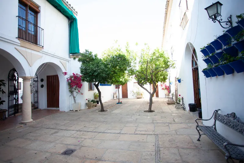 Escuelas Profesionales De La Sagrada Familia - Colegio concertado en Bujalance - foto 2