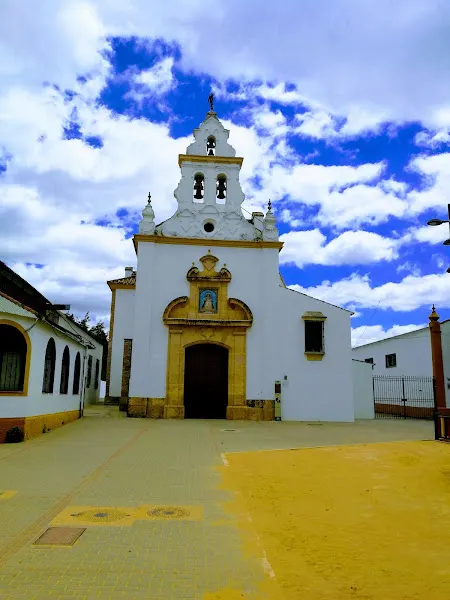 Centro de Educación Infantil y Primaria Nuestra Señora de la Salud - Colegio público en Posadas - foto 2