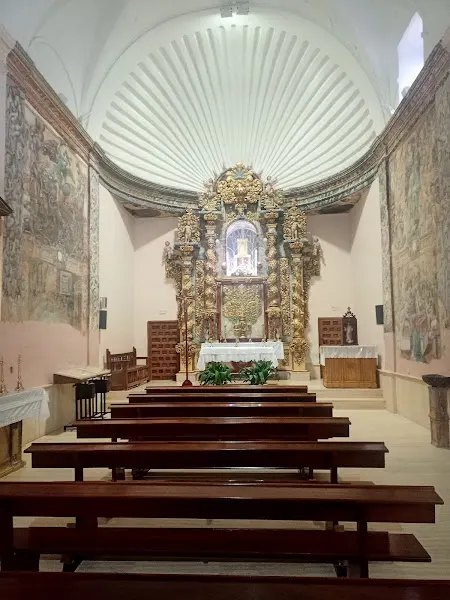 CEIP Nuestra Señora de Peñarroya - Colegio público en Argamasilla de Alba - foto 3