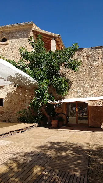 Sa Llavor - Escuela primaria y secundaria en Binissalem - foto 2