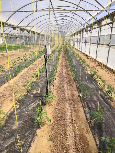 Escola Agrària de Noves Tecnologies i Horticultura - Centro educativo en Cabrils - foto 2