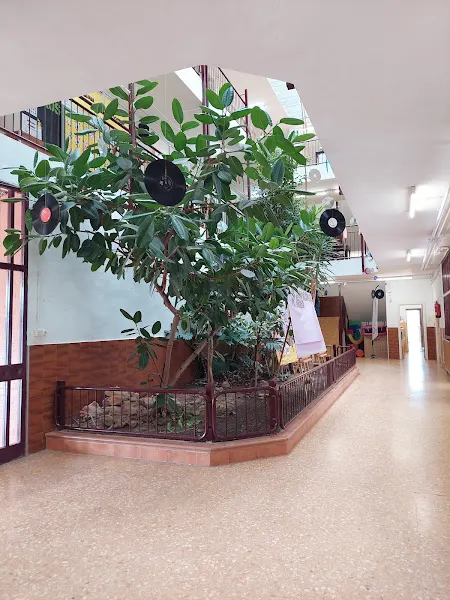 CEIP Mare de Déu del Patrocini - Colegio público en Foios - foto 2
