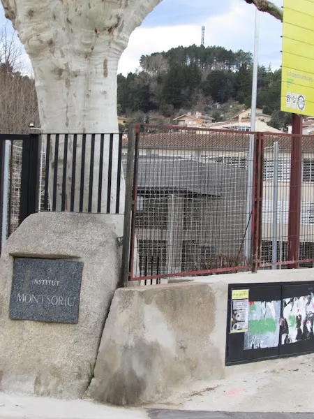 Institut Montsoriu (Arbúcies) - Arbucies