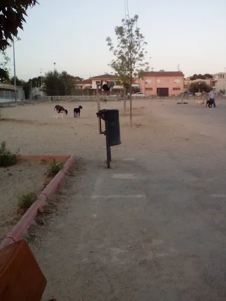 Escola Pública Les Eres - Colegio público en Creixell - foto 2