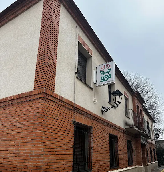 CEIP Ramón y Cajal - Colegio público en Puebla de Almoradiel (La) - foto 2
