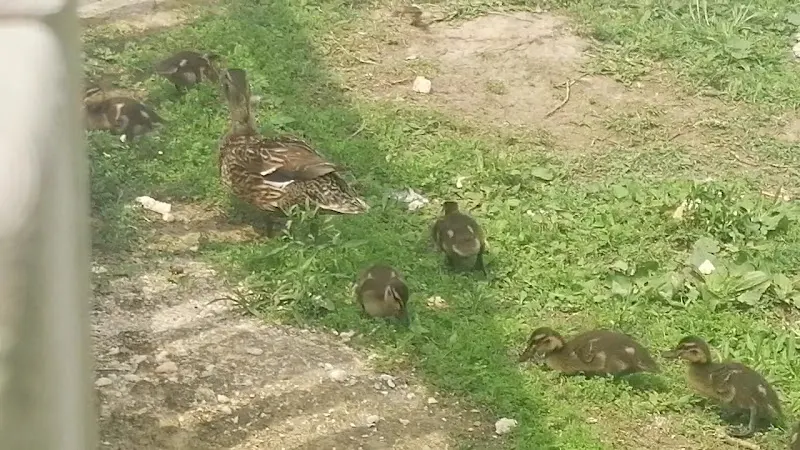 Haurtxo Haurreskola - Guardería en Lezo - foto 2