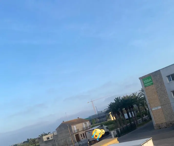 Ayuntamiento Agrupación Escolar Mixta - Colegio público en Museros - foto 3