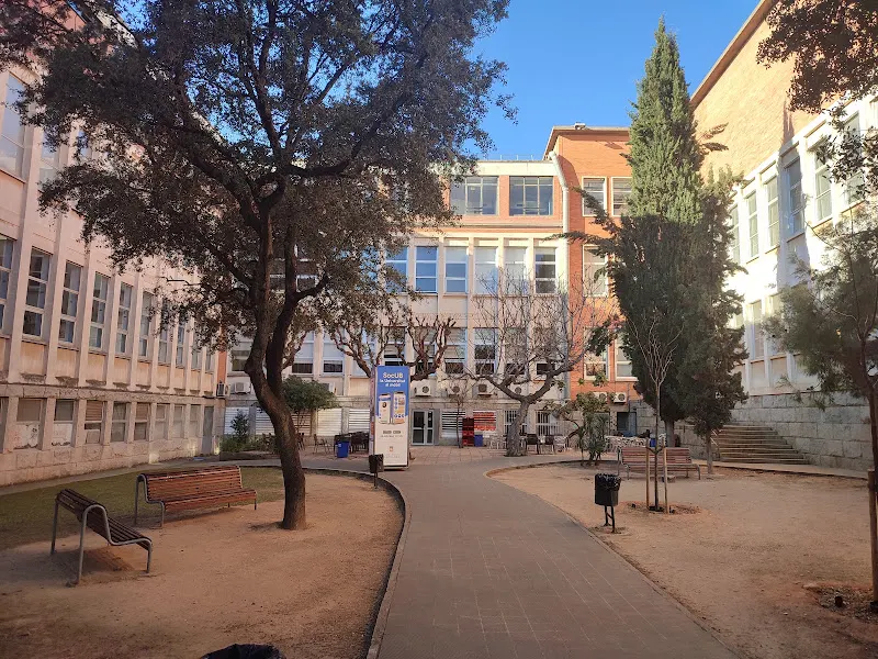 Facultad de Bellas Artes - Universidad de Barcelona - Barcelona