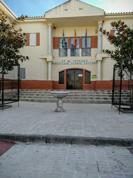 CEIP Profesor Tierno Galván - Colegio público en Pulianas - foto 2