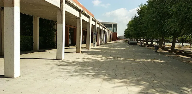 Instituto público Pere d'Esplugues - Instituto de secundaria en Pobla Llarga (la) - foto 2