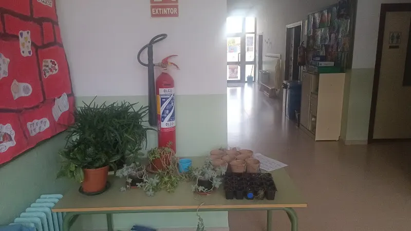 Escuela Infantil De Sariñena - Sarinena