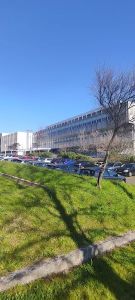 UDC ~ Facultad de Ciencias de la Educación - A Coruna