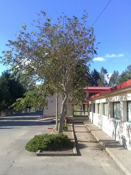 Centro Público Integrado Plurilingüe Santa Lucía