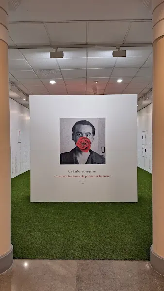 Centro De Educación Infantil Y Primaria Federico García Lorca - Fuente Vaqueros