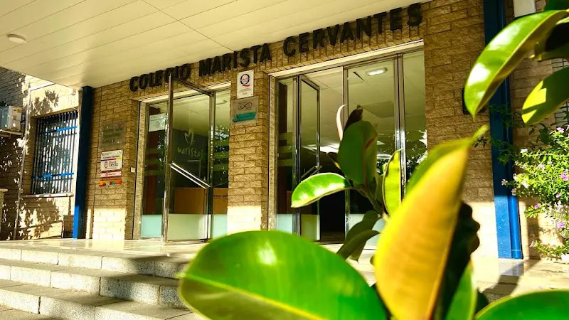 Colegio Miguel de Cervantes - Colegio público en Montemayor - foto 3