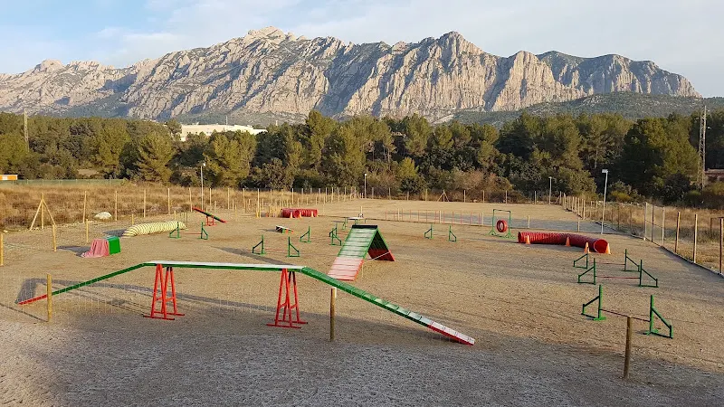 Vent Roig Educación Canina - Adiestrador canino en Collbato - foto 2