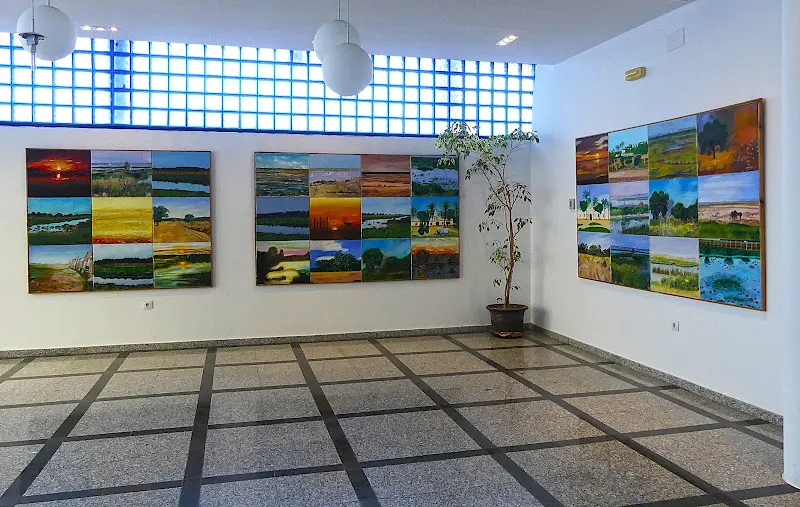 C E I P Marismas De Hinojos - Colegio público en Hinojos - foto 2
