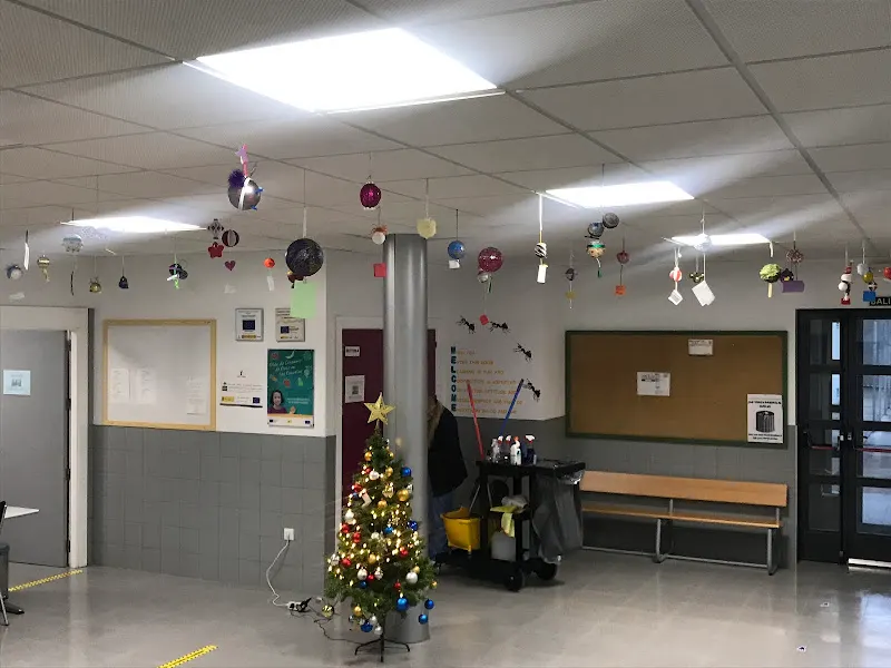 CEIP Nuestra Señora de la Antigua - Colegio público en Cebolla - foto 2