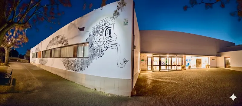 Escuela Infantil Rota - Colegio público en Sineu - foto 2