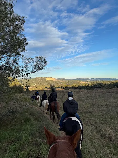 Escola pony club granja - Olerdola