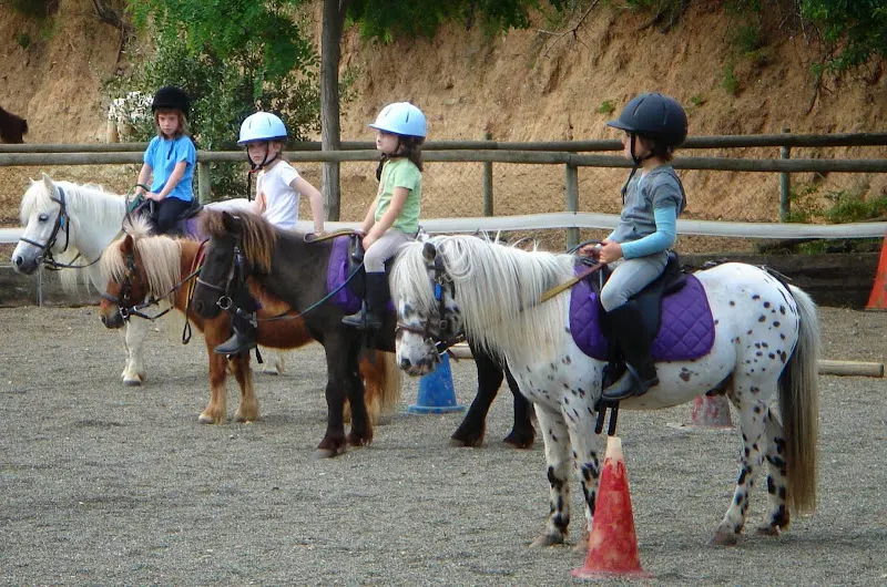 Escola pony club granja - Entrenador de caballos en Olerdola - foto 2