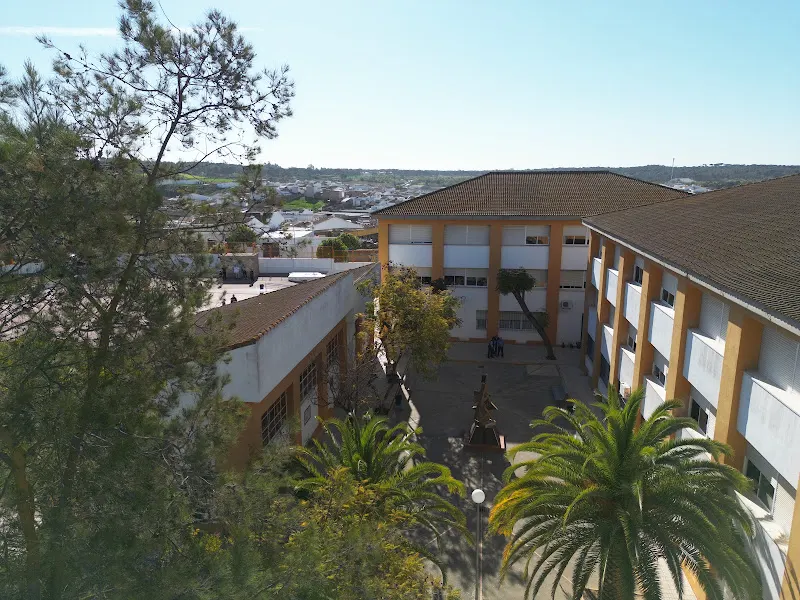 Instituto de Educación Secundaria Ies Nuevo Milenio - Instituto de secundaria en Zalamea la Real - foto 2